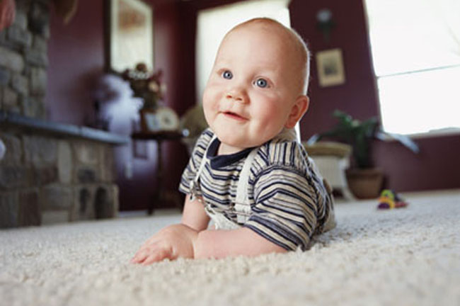 Carpet and Upholstery Cleaning